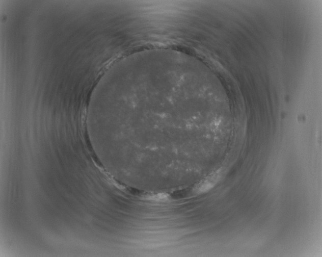 X0000081490576200702021926