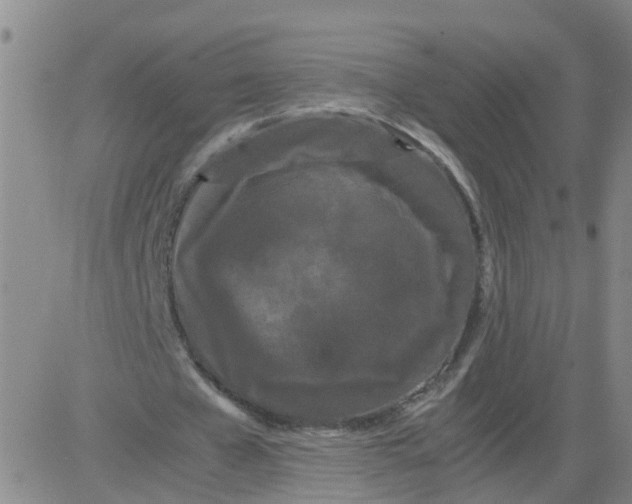 X0000081490577200702021925