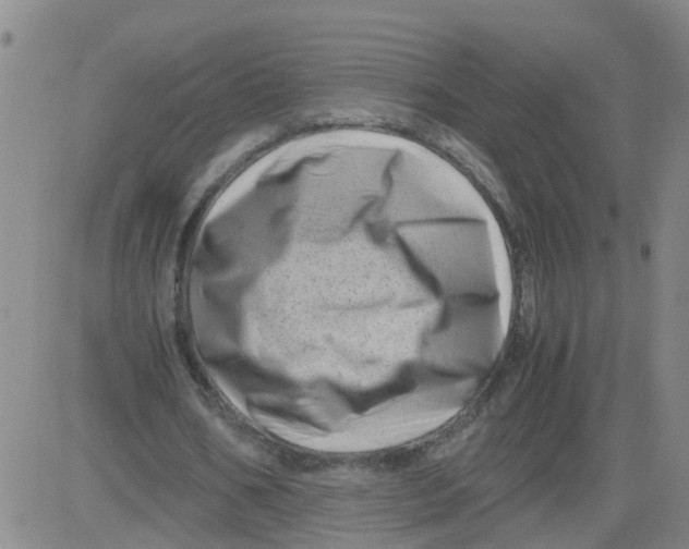 X0000081490578200702021925