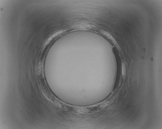 X0000081490579200702021925