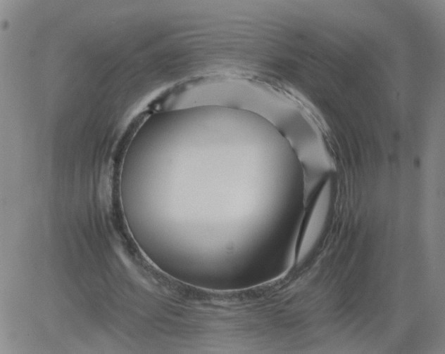 X0000081490580200702021925