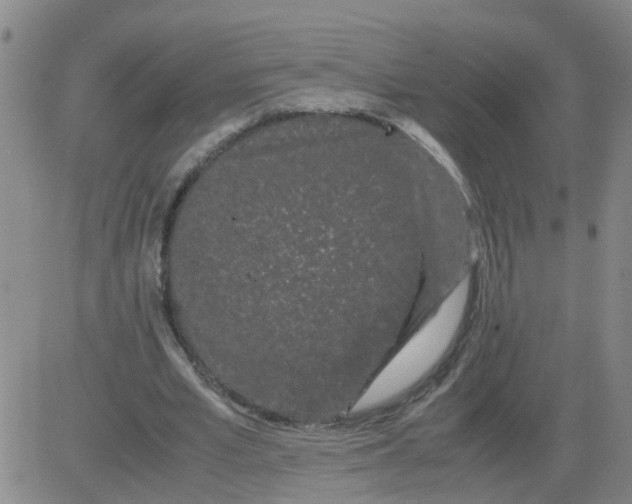 X0000081490581200702021925