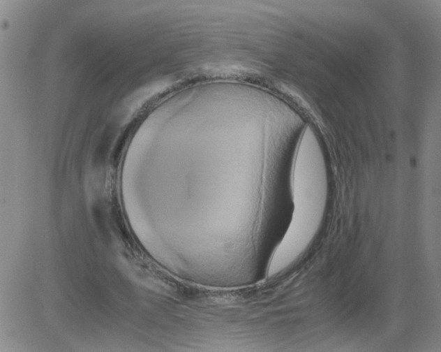 X0000081490583200702021925