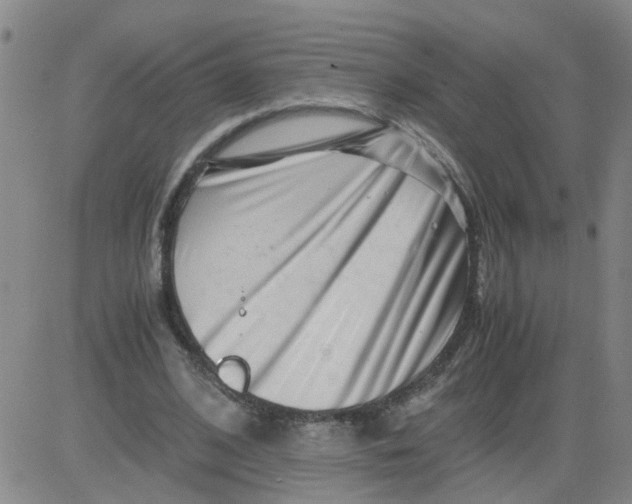 X0000081490584200702021925