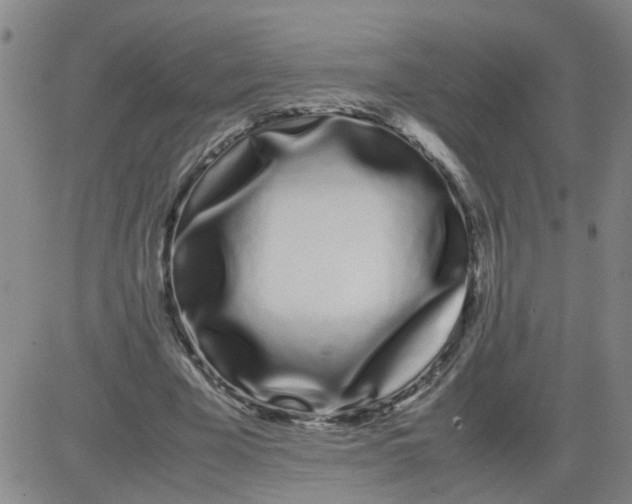 X0000081490585200702021925