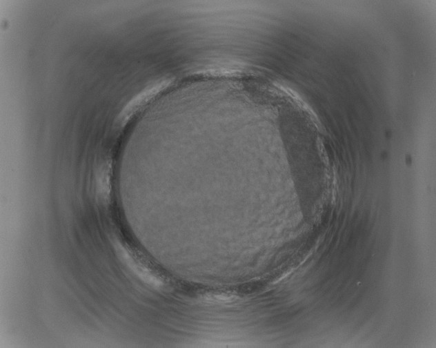 X0000081490586200702021925