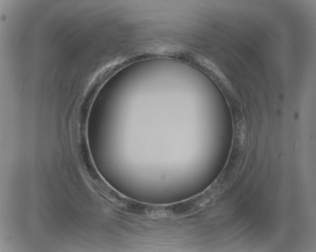 X0000081490587200702021925