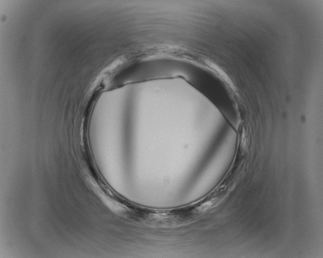 X0000081490589200702021925