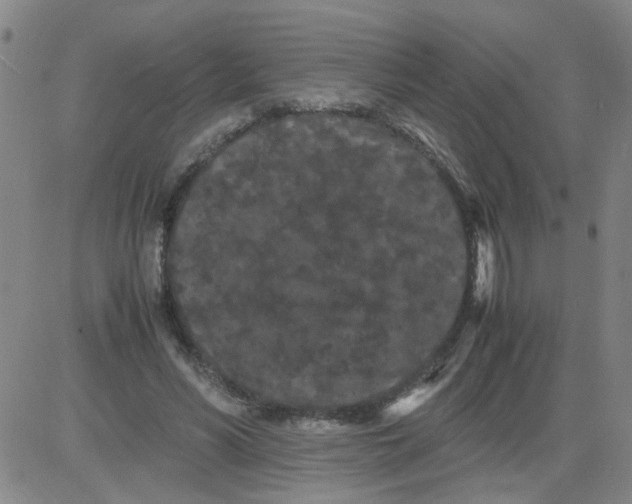 X0000081490590200702021925