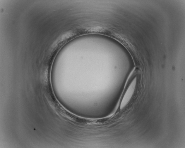 X0000081490591200702021925