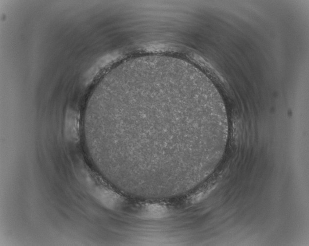 X0000081490592200702021925