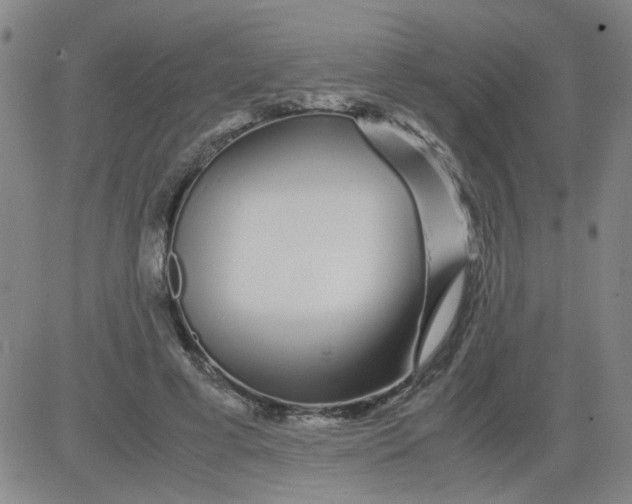 X0000081490593200702021925