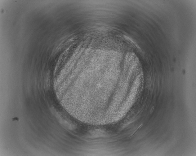 X0000081490594200702021925