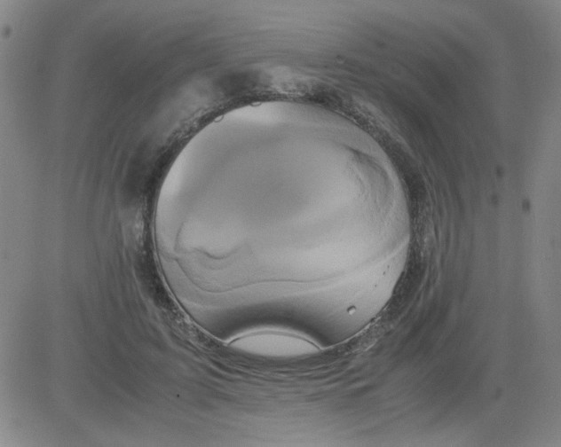 X0000081490595200702021925