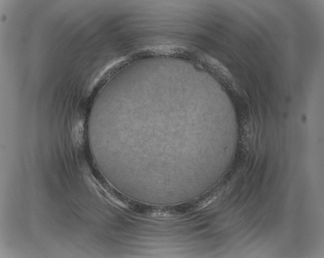 X0000081490596200702021925