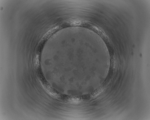 X0000081490598200702021925