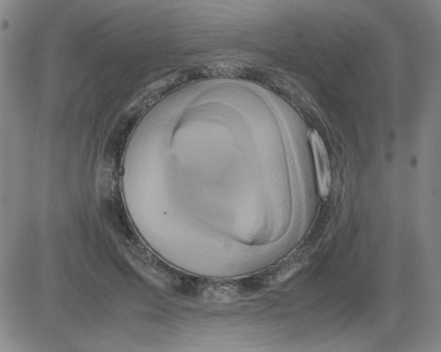 X0000081490599200702021925