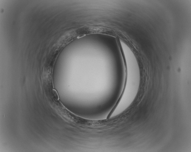 X0000081490601200702021925