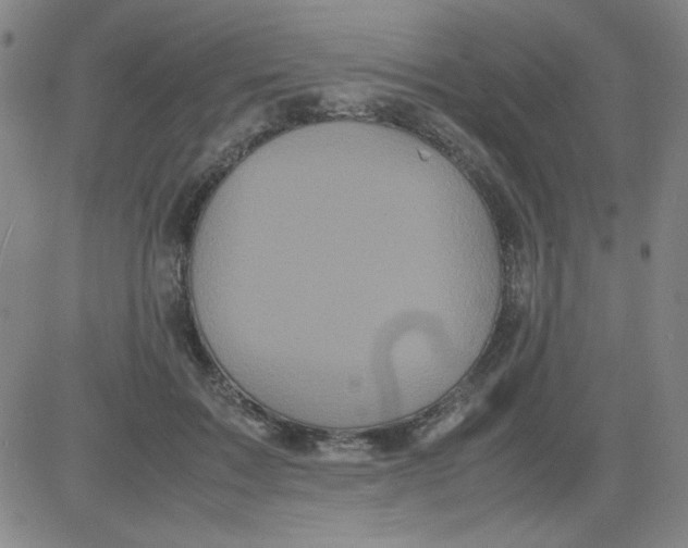 X0000081490603200702021924