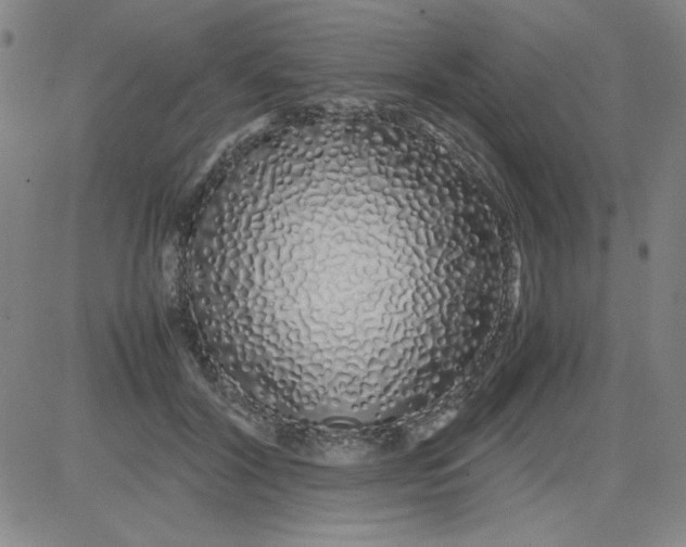 X0000081490604200702021924