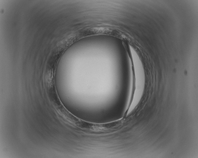 X0000081490605200702021924