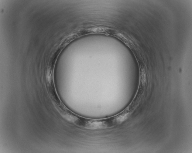 X0000081490607200702021924