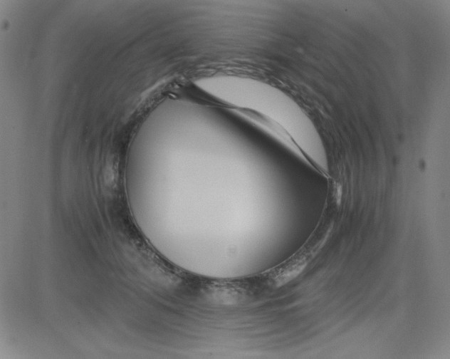 X0000081490608200702021924