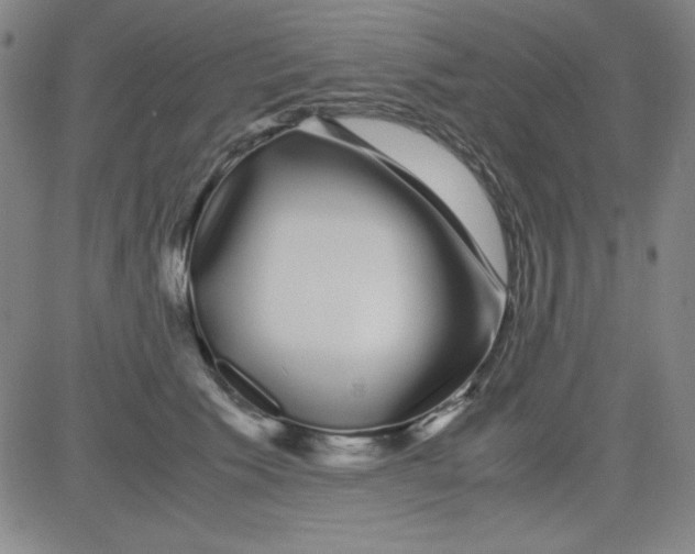 X0000081490609200702021924