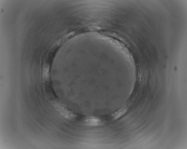 X0000081490610200702021924