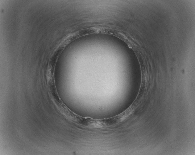 X0000081490611200702021924