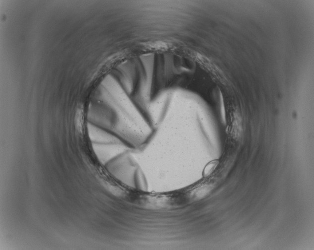 X0000081490612200702021924