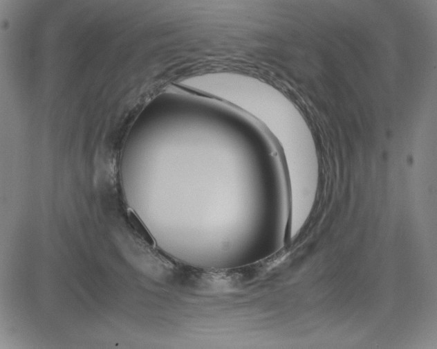 X0000081490613200702021924