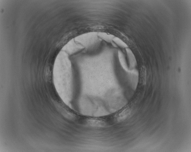 X0000081490614200702021924