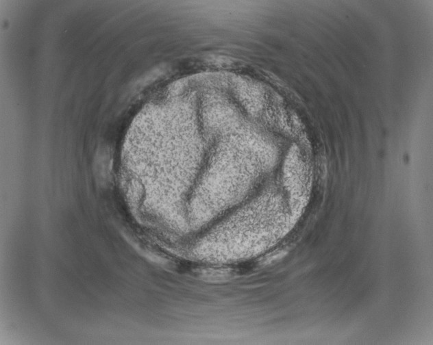 X0000081490615200702021924