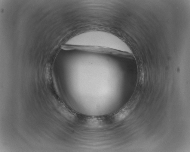 X0000081490616200702021924