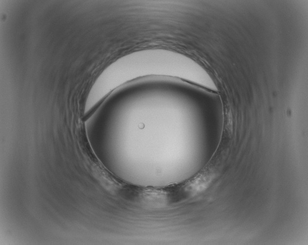 X0000081490617200702021924