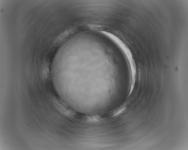 X0000081490618200702021924