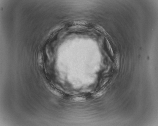 X0000081490619200702021924