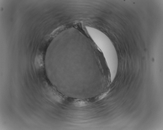 X0000081490620200702021924