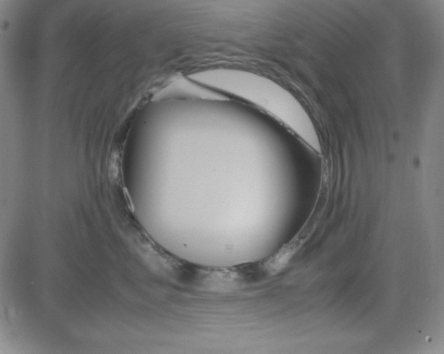 X0000081490621200702021924