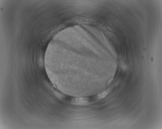 X0000081490622200702021924