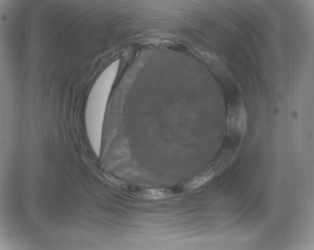 X0000081490623200702021924