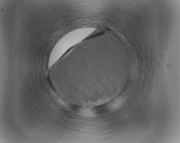 X0000081490624200702021924