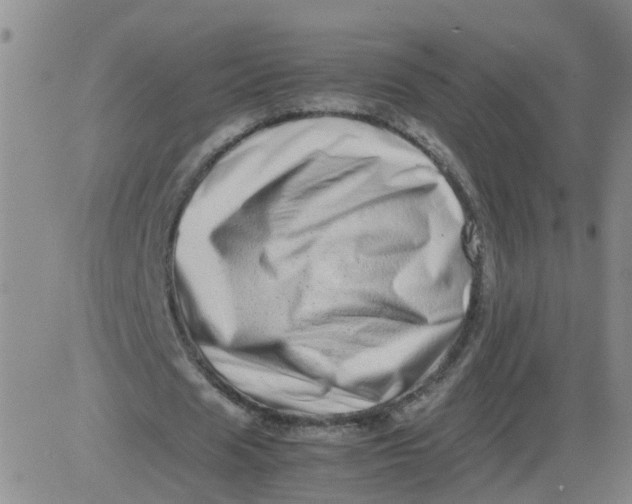 X0000081490625200702021923