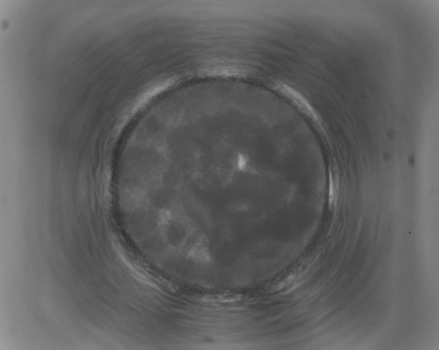 X0000081490627200702021923