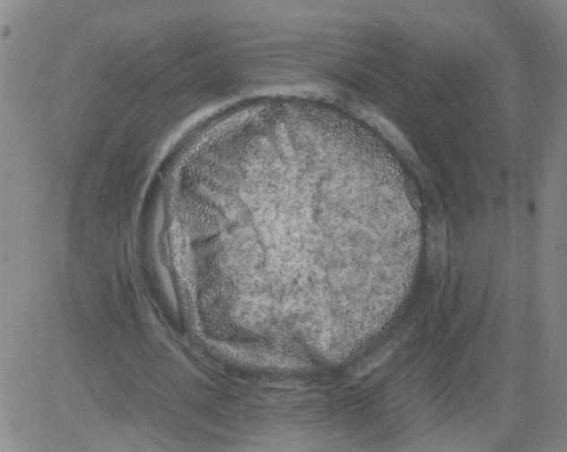 X0000081490628200702021923