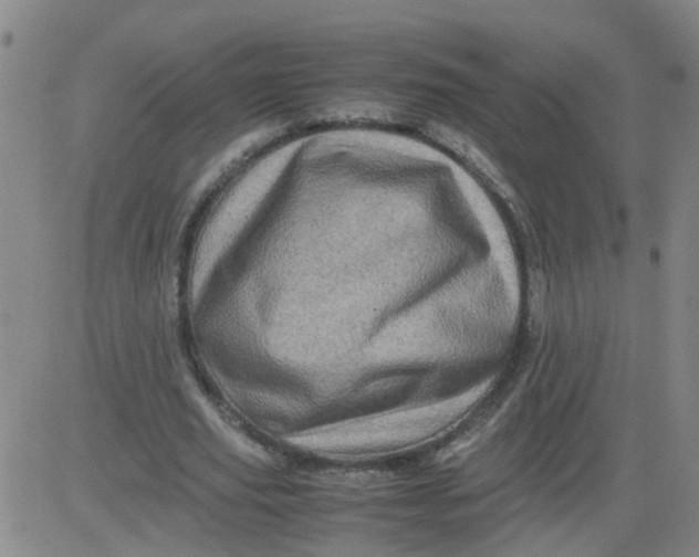 X0000081490629200702021923