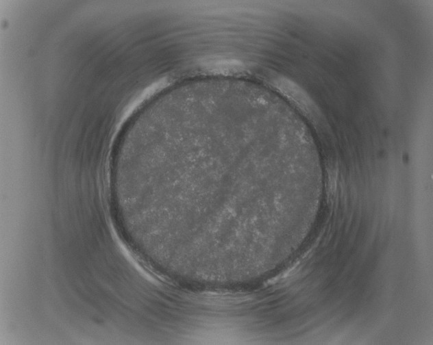 X0000081490630200702021923