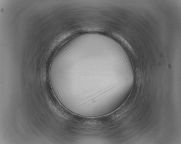 X0000081490631200702021923