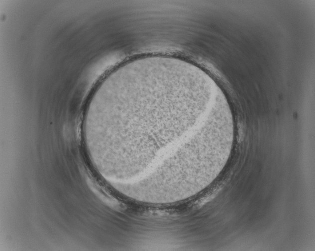 X0000081490632200702021923